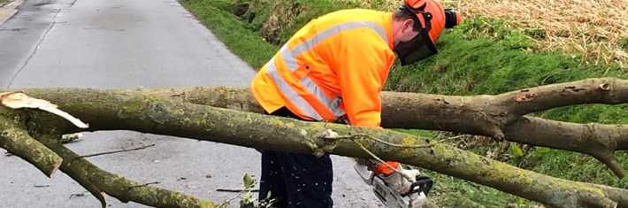 Ruimt de brandweer een omgevallen boom op